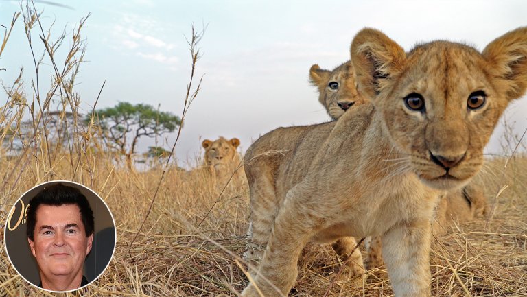 ‘American Idol’ Creator Looks to Nature for His Next Project ‘American Idol’ Creator Looks to Nature for His Next Project