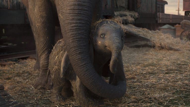 ‘Dumbo’: 30 Plot Details & Behind-the-Scenes Facts Learned on Tim Burton’s Set ‘Dumbo’: 30 Plot Details & Behind-the-Scenes Facts Learned on Tim Burton’s Set