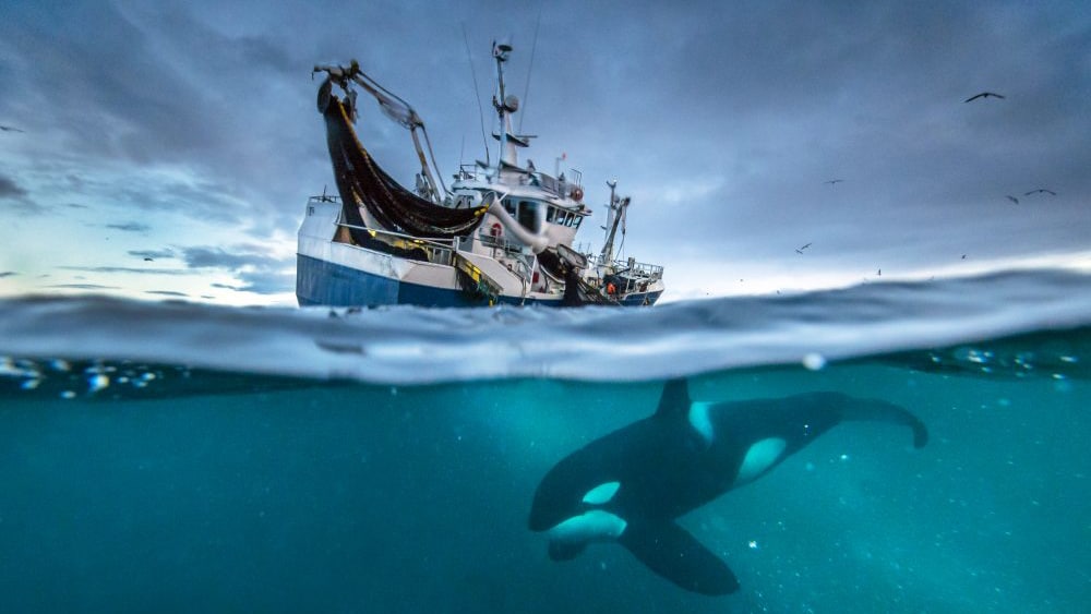 Discovery to Launch Global Factual Streamer by 2020 With BBC Content Discovery to Launch Global Factual Streamer by 2020 With BBC Content